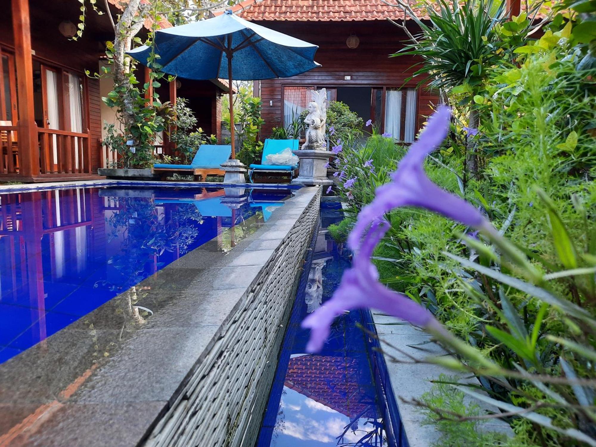 Wait Garden Cottage Toyapakeh Εξωτερικό φωτογραφία